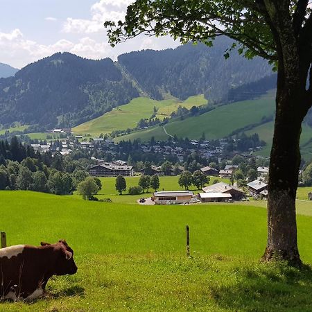 Haus Sonnleiten Maria Alm am Steinernen Meer Bagian luar foto