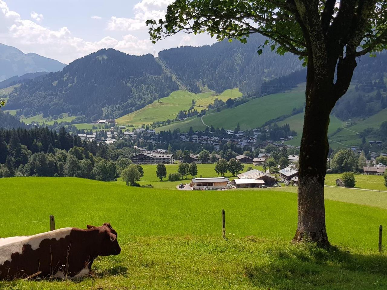 Haus Sonnleiten Maria Alm am Steinernen Meer Bagian luar foto